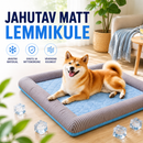 CoolPet™ jahutusmatt koerale ja kassile