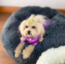 PetCare™ Padi lemmikloomale