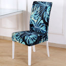 Universaalsed ja venivad toolikatted HomeCare™